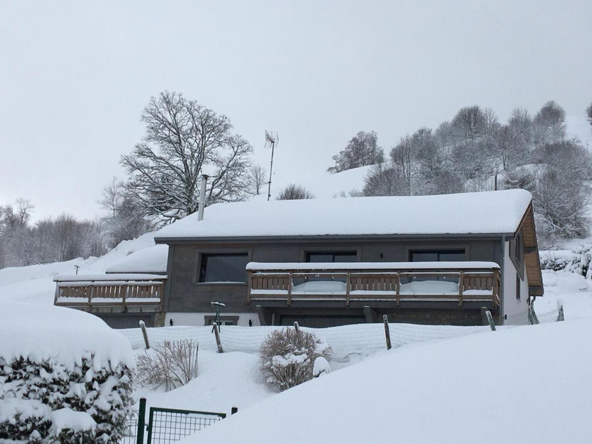 Chalet Bel Horizon La Montagne Des Lamas La Bresse Exterior foto
